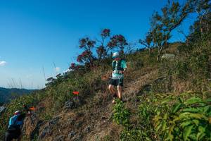 BIB: 
                            <button type="button" onclick="openModal(28098678)" class="btn btn-primary btn-sm float-right btn-popup" data-toggle="modal" data-target=".modal-high-quality">
                        <i class="fas fa-shopping-cart"></i> Add to Cart
                    </button>
                                            <button type="button" onclick="isThisMe(28098678, true)" class="btn btn-success btn-sm float-right btn-popup btn-isme hidden" data-toggle="tooltip" data-placement="bottom" title="นี่คือรูปของคุณใช่ไหม คลิกที่นี่เพื่อเอาเข้าอัลบั้ม">
                        <i class="fas fa-plus"></i> Add to album
                    </button>
                    <button type="button" onclick="isThisMe(28098678, false)" class="btn btn-warning btn-sm float-right btn-popup btn-isnotme hidden">
                        <i class="fas fa-ban"></i> Remove from album
                    </button>