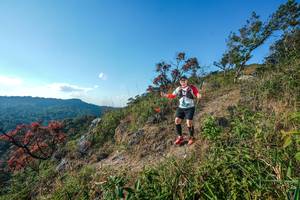 BIB: 
                            <button type="button" onclick="openModal(28098532)" class="btn btn-primary btn-sm float-right btn-popup" data-toggle="modal" data-target=".modal-high-quality">
                        <i class="fas fa-shopping-cart"></i> Add to Cart
                    </button>
                                            <button type="button" onclick="isThisMe(28098532, true)" class="btn btn-success btn-sm float-right btn-popup btn-isme hidden" data-toggle="tooltip" data-placement="bottom" title="นี่คือรูปของคุณใช่ไหม คลิกที่นี่เพื่อเอาเข้าอัลบั้ม">
                        <i class="fas fa-plus"></i> Add to album
                    </button>
                    <button type="button" onclick="isThisMe(28098532, false)" class="btn btn-warning btn-sm float-right btn-popup btn-isnotme hidden">
                        <i class="fas fa-ban"></i> Remove from album
                    </button>