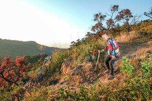 BIB: 
                            <button type="button" onclick="openModal(28099696)" class="btn btn-primary btn-sm float-right btn-popup" data-toggle="modal" data-target=".modal-high-quality">
                        <i class="fas fa-shopping-cart"></i> Add to Cart
                    </button>
                                            <button type="button" onclick="isThisMe(28099696, true)" class="btn btn-success btn-sm float-right btn-popup btn-isme hidden" data-toggle="tooltip" data-placement="bottom" title="นี่คือรูปของคุณใช่ไหม คลิกที่นี่เพื่อเอาเข้าอัลบั้ม">
                        <i class="fas fa-plus"></i> Add to album
                    </button>
                    <button type="button" onclick="isThisMe(28099696, false)" class="btn btn-warning btn-sm float-right btn-popup btn-isnotme hidden">
                        <i class="fas fa-ban"></i> Remove from album
                    </button>