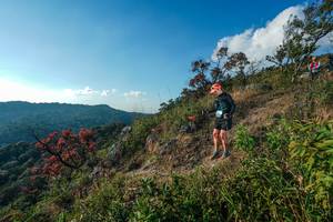 BIB: 
                            <button type="button" onclick="openModal(28099177)" class="btn btn-primary btn-sm float-right btn-popup" data-toggle="modal" data-target=".modal-high-quality">
                        <i class="fas fa-shopping-cart"></i> Add to Cart
                    </button>
                                            <button type="button" onclick="isThisMe(28099177, true)" class="btn btn-success btn-sm float-right btn-popup btn-isme hidden" data-toggle="tooltip" data-placement="bottom" title="นี่คือรูปของคุณใช่ไหม คลิกที่นี่เพื่อเอาเข้าอัลบั้ม">
                        <i class="fas fa-plus"></i> Add to album
                    </button>
                    <button type="button" onclick="isThisMe(28099177, false)" class="btn btn-warning btn-sm float-right btn-popup btn-isnotme hidden">
                        <i class="fas fa-ban"></i> Remove from album
                    </button>