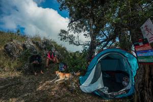 BIB: 
                            <button type="button" onclick="openModal(28095738)" class="btn btn-primary btn-sm float-right btn-popup" data-toggle="modal" data-target=".modal-high-quality">
                        <i class="fas fa-shopping-cart"></i> Add to Cart
                    </button>
                                            <button type="button" onclick="isThisMe(28095738, true)" class="btn btn-success btn-sm float-right btn-popup btn-isme hidden" data-toggle="tooltip" data-placement="bottom" title="นี่คือรูปของคุณใช่ไหม คลิกที่นี่เพื่อเอาเข้าอัลบั้ม">
                        <i class="fas fa-plus"></i> Add to album
                    </button>
                    <button type="button" onclick="isThisMe(28095738, false)" class="btn btn-warning btn-sm float-right btn-popup btn-isnotme hidden">
                        <i class="fas fa-ban"></i> Remove from album
                    </button>