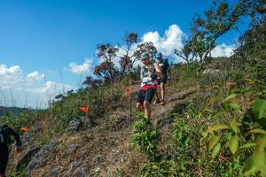 BIB: 
                            <button type="button" onclick="openModal(28097406)" class="btn btn-primary btn-sm float-right btn-popup" data-toggle="modal" data-target=".modal-high-quality">
                        <i class="fas fa-shopping-cart"></i> Add to Cart
                    </button>
                                            <button type="button" onclick="isThisMe(28097406, true)" class="btn btn-success btn-sm float-right btn-popup btn-isme hidden" data-toggle="tooltip" data-placement="bottom" title="นี่คือรูปของคุณใช่ไหม คลิกที่นี่เพื่อเอาเข้าอัลบั้ม">
                        <i class="fas fa-plus"></i> Add to album
                    </button>
                    <button type="button" onclick="isThisMe(28097406, false)" class="btn btn-warning btn-sm float-right btn-popup btn-isnotme hidden">
                        <i class="fas fa-ban"></i> Remove from album
                    </button>