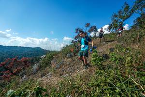 BIB: 
                            <button type="button" onclick="openModal(28097316)" class="btn btn-primary btn-sm float-right btn-popup" data-toggle="modal" data-target=".modal-high-quality">
                        <i class="fas fa-shopping-cart"></i> Add to Cart
                    </button>
                                            <button type="button" onclick="isThisMe(28097316, true)" class="btn btn-success btn-sm float-right btn-popup btn-isme hidden" data-toggle="tooltip" data-placement="bottom" title="นี่คือรูปของคุณใช่ไหม คลิกที่นี่เพื่อเอาเข้าอัลบั้ม">
                        <i class="fas fa-plus"></i> Add to album
                    </button>
                    <button type="button" onclick="isThisMe(28097316, false)" class="btn btn-warning btn-sm float-right btn-popup btn-isnotme hidden">
                        <i class="fas fa-ban"></i> Remove from album
                    </button>