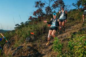 BIB: 
                            <button type="button" onclick="openModal(28099385)" class="btn btn-primary btn-sm float-right btn-popup" data-toggle="modal" data-target=".modal-high-quality">
                        <i class="fas fa-shopping-cart"></i> Add to Cart
                    </button>
                                            <button type="button" onclick="isThisMe(28099385, true)" class="btn btn-success btn-sm float-right btn-popup btn-isme hidden" data-toggle="tooltip" data-placement="bottom" title="นี่คือรูปของคุณใช่ไหม คลิกที่นี่เพื่อเอาเข้าอัลบั้ม">
                        <i class="fas fa-plus"></i> Add to album
                    </button>
                    <button type="button" onclick="isThisMe(28099385, false)" class="btn btn-warning btn-sm float-right btn-popup btn-isnotme hidden">
                        <i class="fas fa-ban"></i> Remove from album
                    </button>