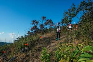 BIB: 
                            <button type="button" onclick="openModal(28098943)" class="btn btn-primary btn-sm float-right btn-popup" data-toggle="modal" data-target=".modal-high-quality">
                        <i class="fas fa-shopping-cart"></i> Add to Cart
                    </button>
                                            <button type="button" onclick="isThisMe(28098943, true)" class="btn btn-success btn-sm float-right btn-popup btn-isme hidden" data-toggle="tooltip" data-placement="bottom" title="นี่คือรูปของคุณใช่ไหม คลิกที่นี่เพื่อเอาเข้าอัลบั้ม">
                        <i class="fas fa-plus"></i> Add to album
                    </button>
                    <button type="button" onclick="isThisMe(28098943, false)" class="btn btn-warning btn-sm float-right btn-popup btn-isnotme hidden">
                        <i class="fas fa-ban"></i> Remove from album
                    </button>