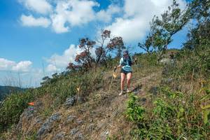 BIB: 
                            <button type="button" onclick="openModal(28096481)" class="btn btn-primary btn-sm float-right btn-popup" data-toggle="modal" data-target=".modal-high-quality">
                        <i class="fas fa-shopping-cart"></i> Add to Cart
                    </button>
                                            <button type="button" onclick="isThisMe(28096481, true)" class="btn btn-success btn-sm float-right btn-popup btn-isme hidden" data-toggle="tooltip" data-placement="bottom" title="นี่คือรูปของคุณใช่ไหม คลิกที่นี่เพื่อเอาเข้าอัลบั้ม">
                        <i class="fas fa-plus"></i> Add to album
                    </button>
                    <button type="button" onclick="isThisMe(28096481, false)" class="btn btn-warning btn-sm float-right btn-popup btn-isnotme hidden">
                        <i class="fas fa-ban"></i> Remove from album
                    </button>