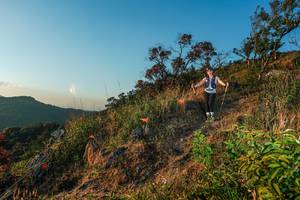 BIB: 
                            <button type="button" onclick="openModal(28099680)" class="btn btn-primary btn-sm float-right btn-popup" data-toggle="modal" data-target=".modal-high-quality">
                        <i class="fas fa-shopping-cart"></i> Add to Cart
                    </button>
                                            <button type="button" onclick="isThisMe(28099680, true)" class="btn btn-success btn-sm float-right btn-popup btn-isme hidden" data-toggle="tooltip" data-placement="bottom" title="นี่คือรูปของคุณใช่ไหม คลิกที่นี่เพื่อเอาเข้าอัลบั้ม">
                        <i class="fas fa-plus"></i> Add to album
                    </button>
                    <button type="button" onclick="isThisMe(28099680, false)" class="btn btn-warning btn-sm float-right btn-popup btn-isnotme hidden">
                        <i class="fas fa-ban"></i> Remove from album
                    </button>