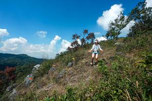 BIB: 
                            <button type="button" onclick="openModal(28096000)" class="btn btn-primary btn-sm float-right btn-popup" data-toggle="modal" data-target=".modal-high-quality">
                        <i class="fas fa-shopping-cart"></i> Add to Cart
                    </button>
                                            <button type="button" onclick="isThisMe(28096000, true)" class="btn btn-success btn-sm float-right btn-popup btn-isme hidden" data-toggle="tooltip" data-placement="bottom" title="นี่คือรูปของคุณใช่ไหม คลิกที่นี่เพื่อเอาเข้าอัลบั้ม">
                        <i class="fas fa-plus"></i> Add to album
                    </button>
                    <button type="button" onclick="isThisMe(28096000, false)" class="btn btn-warning btn-sm float-right btn-popup btn-isnotme hidden">
                        <i class="fas fa-ban"></i> Remove from album
                    </button>