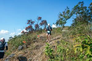 BIB: 
                            <button type="button" onclick="openModal(28096971)" class="btn btn-primary btn-sm float-right btn-popup" data-toggle="modal" data-target=".modal-high-quality">
                        <i class="fas fa-shopping-cart"></i> Add to Cart
                    </button>
                                            <button type="button" onclick="isThisMe(28096971, true)" class="btn btn-success btn-sm float-right btn-popup btn-isme hidden" data-toggle="tooltip" data-placement="bottom" title="นี่คือรูปของคุณใช่ไหม คลิกที่นี่เพื่อเอาเข้าอัลบั้ม">
                        <i class="fas fa-plus"></i> Add to album
                    </button>
                    <button type="button" onclick="isThisMe(28096971, false)" class="btn btn-warning btn-sm float-right btn-popup btn-isnotme hidden">
                        <i class="fas fa-ban"></i> Remove from album
                    </button>