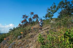 BIB: 
                            <button type="button" onclick="openModal(28096701)" class="btn btn-primary btn-sm float-right btn-popup" data-toggle="modal" data-target=".modal-high-quality">
                        <i class="fas fa-shopping-cart"></i> Add to Cart
                    </button>
                                            <button type="button" onclick="isThisMe(28096701, true)" class="btn btn-success btn-sm float-right btn-popup btn-isme hidden" data-toggle="tooltip" data-placement="bottom" title="นี่คือรูปของคุณใช่ไหม คลิกที่นี่เพื่อเอาเข้าอัลบั้ม">
                        <i class="fas fa-plus"></i> Add to album
                    </button>
                    <button type="button" onclick="isThisMe(28096701, false)" class="btn btn-warning btn-sm float-right btn-popup btn-isnotme hidden">
                        <i class="fas fa-ban"></i> Remove from album
                    </button>