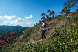 BIB: 
                            <button type="button" onclick="openModal(28097674)" class="btn btn-primary btn-sm float-right btn-popup" data-toggle="modal" data-target=".modal-high-quality">
                        <i class="fas fa-shopping-cart"></i> Add to Cart
                    </button>
                                            <button type="button" onclick="isThisMe(28097674, true)" class="btn btn-success btn-sm float-right btn-popup btn-isme hidden" data-toggle="tooltip" data-placement="bottom" title="นี่คือรูปของคุณใช่ไหม คลิกที่นี่เพื่อเอาเข้าอัลบั้ม">
                        <i class="fas fa-plus"></i> Add to album
                    </button>
                    <button type="button" onclick="isThisMe(28097674, false)" class="btn btn-warning btn-sm float-right btn-popup btn-isnotme hidden">
                        <i class="fas fa-ban"></i> Remove from album
                    </button>