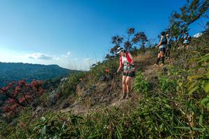 BIB: 
                            <button type="button" onclick="openModal(28098893)" class="btn btn-primary btn-sm float-right btn-popup" data-toggle="modal" data-target=".modal-high-quality">
                        <i class="fas fa-shopping-cart"></i> Add to Cart
                    </button>
                                            <button type="button" onclick="isThisMe(28098893, true)" class="btn btn-success btn-sm float-right btn-popup btn-isme hidden" data-toggle="tooltip" data-placement="bottom" title="นี่คือรูปของคุณใช่ไหม คลิกที่นี่เพื่อเอาเข้าอัลบั้ม">
                        <i class="fas fa-plus"></i> Add to album
                    </button>
                    <button type="button" onclick="isThisMe(28098893, false)" class="btn btn-warning btn-sm float-right btn-popup btn-isnotme hidden">
                        <i class="fas fa-ban"></i> Remove from album
                    </button>