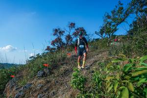 BIB: 
                            <button type="button" onclick="openModal(28098193)" class="btn btn-primary btn-sm float-right btn-popup" data-toggle="modal" data-target=".modal-high-quality">
                        <i class="fas fa-shopping-cart"></i> Add to Cart
                    </button>
                                            <button type="button" onclick="isThisMe(28098193, true)" class="btn btn-success btn-sm float-right btn-popup btn-isme hidden" data-toggle="tooltip" data-placement="bottom" title="นี่คือรูปของคุณใช่ไหม คลิกที่นี่เพื่อเอาเข้าอัลบั้ม">
                        <i class="fas fa-plus"></i> Add to album
                    </button>
                    <button type="button" onclick="isThisMe(28098193, false)" class="btn btn-warning btn-sm float-right btn-popup btn-isnotme hidden">
                        <i class="fas fa-ban"></i> Remove from album
                    </button>