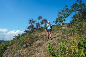 BIB: 
                            <button type="button" onclick="openModal(28096619)" class="btn btn-primary btn-sm float-right btn-popup" data-toggle="modal" data-target=".modal-high-quality">
                        <i class="fas fa-shopping-cart"></i> Add to Cart
                    </button>
                                            <button type="button" onclick="isThisMe(28096619, true)" class="btn btn-success btn-sm float-right btn-popup btn-isme hidden" data-toggle="tooltip" data-placement="bottom" title="นี่คือรูปของคุณใช่ไหม คลิกที่นี่เพื่อเอาเข้าอัลบั้ม">
                        <i class="fas fa-plus"></i> Add to album
                    </button>
                    <button type="button" onclick="isThisMe(28096619, false)" class="btn btn-warning btn-sm float-right btn-popup btn-isnotme hidden">
                        <i class="fas fa-ban"></i> Remove from album
                    </button>