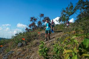 BIB: 
                            <button type="button" onclick="openModal(28097329)" class="btn btn-primary btn-sm float-right btn-popup" data-toggle="modal" data-target=".modal-high-quality">
                        <i class="fas fa-shopping-cart"></i> Add to Cart
                    </button>
                                            <button type="button" onclick="isThisMe(28097329, true)" class="btn btn-success btn-sm float-right btn-popup btn-isme hidden" data-toggle="tooltip" data-placement="bottom" title="นี่คือรูปของคุณใช่ไหม คลิกที่นี่เพื่อเอาเข้าอัลบั้ม">
                        <i class="fas fa-plus"></i> Add to album
                    </button>
                    <button type="button" onclick="isThisMe(28097329, false)" class="btn btn-warning btn-sm float-right btn-popup btn-isnotme hidden">
                        <i class="fas fa-ban"></i> Remove from album
                    </button>