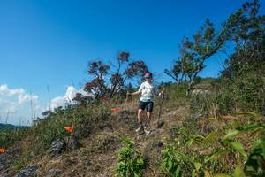 BIB: 
                            <button type="button" onclick="openModal(28097172)" class="btn btn-primary btn-sm float-right btn-popup" data-toggle="modal" data-target=".modal-high-quality">
                        <i class="fas fa-shopping-cart"></i> Add to Cart
                    </button>
                                            <button type="button" onclick="isThisMe(28097172, true)" class="btn btn-success btn-sm float-right btn-popup btn-isme hidden" data-toggle="tooltip" data-placement="bottom" title="นี่คือรูปของคุณใช่ไหม คลิกที่นี่เพื่อเอาเข้าอัลบั้ม">
                        <i class="fas fa-plus"></i> Add to album
                    </button>
                    <button type="button" onclick="isThisMe(28097172, false)" class="btn btn-warning btn-sm float-right btn-popup btn-isnotme hidden">
                        <i class="fas fa-ban"></i> Remove from album
                    </button>