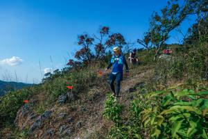 BIB: 
                            <button type="button" onclick="openModal(28098246)" class="btn btn-primary btn-sm float-right btn-popup" data-toggle="modal" data-target=".modal-high-quality">
                        <i class="fas fa-shopping-cart"></i> Add to Cart
                    </button>
                                            <button type="button" onclick="isThisMe(28098246, true)" class="btn btn-success btn-sm float-right btn-popup btn-isme hidden" data-toggle="tooltip" data-placement="bottom" title="นี่คือรูปของคุณใช่ไหม คลิกที่นี่เพื่อเอาเข้าอัลบั้ม">
                        <i class="fas fa-plus"></i> Add to album
                    </button>
                    <button type="button" onclick="isThisMe(28098246, false)" class="btn btn-warning btn-sm float-right btn-popup btn-isnotme hidden">
                        <i class="fas fa-ban"></i> Remove from album
                    </button>