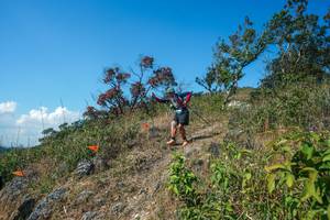 BIB: 
                            <button type="button" onclick="openModal(28096627)" class="btn btn-primary btn-sm float-right btn-popup" data-toggle="modal" data-target=".modal-high-quality">
                        <i class="fas fa-shopping-cart"></i> Add to Cart
                    </button>
                                            <button type="button" onclick="isThisMe(28096627, true)" class="btn btn-success btn-sm float-right btn-popup btn-isme hidden" data-toggle="tooltip" data-placement="bottom" title="นี่คือรูปของคุณใช่ไหม คลิกที่นี่เพื่อเอาเข้าอัลบั้ม">
                        <i class="fas fa-plus"></i> Add to album
                    </button>
                    <button type="button" onclick="isThisMe(28096627, false)" class="btn btn-warning btn-sm float-right btn-popup btn-isnotme hidden">
                        <i class="fas fa-ban"></i> Remove from album
                    </button>