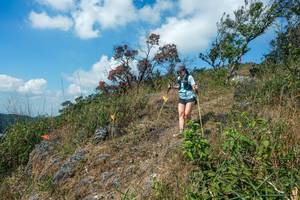 BIB: 
                            <button type="button" onclick="openModal(28096477)" class="btn btn-primary btn-sm float-right btn-popup" data-toggle="modal" data-target=".modal-high-quality">
                        <i class="fas fa-shopping-cart"></i> Add to Cart
                    </button>
                                            <button type="button" onclick="isThisMe(28096477, true)" class="btn btn-success btn-sm float-right btn-popup btn-isme hidden" data-toggle="tooltip" data-placement="bottom" title="นี่คือรูปของคุณใช่ไหม คลิกที่นี่เพื่อเอาเข้าอัลบั้ม">
                        <i class="fas fa-plus"></i> Add to album
                    </button>
                    <button type="button" onclick="isThisMe(28096477, false)" class="btn btn-warning btn-sm float-right btn-popup btn-isnotme hidden">
                        <i class="fas fa-ban"></i> Remove from album
                    </button>