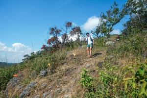 BIB: 
                            <button type="button" onclick="openModal(28096360)" class="btn btn-primary btn-sm float-right btn-popup" data-toggle="modal" data-target=".modal-high-quality">
                        <i class="fas fa-shopping-cart"></i> Add to Cart
                    </button>
                                            <button type="button" onclick="isThisMe(28096360, true)" class="btn btn-success btn-sm float-right btn-popup btn-isme hidden" data-toggle="tooltip" data-placement="bottom" title="นี่คือรูปของคุณใช่ไหม คลิกที่นี่เพื่อเอาเข้าอัลบั้ม">
                        <i class="fas fa-plus"></i> Add to album
                    </button>
                    <button type="button" onclick="isThisMe(28096360, false)" class="btn btn-warning btn-sm float-right btn-popup btn-isnotme hidden">
                        <i class="fas fa-ban"></i> Remove from album
                    </button>