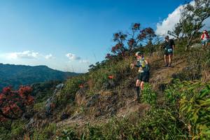 BIB: 
                            <button type="button" onclick="openModal(28099118)" class="btn btn-primary btn-sm float-right btn-popup" data-toggle="modal" data-target=".modal-high-quality">
                        <i class="fas fa-shopping-cart"></i> Add to Cart
                    </button>
                                            <button type="button" onclick="isThisMe(28099118, true)" class="btn btn-success btn-sm float-right btn-popup btn-isme hidden" data-toggle="tooltip" data-placement="bottom" title="นี่คือรูปของคุณใช่ไหม คลิกที่นี่เพื่อเอาเข้าอัลบั้ม">
                        <i class="fas fa-plus"></i> Add to album
                    </button>
                    <button type="button" onclick="isThisMe(28099118, false)" class="btn btn-warning btn-sm float-right btn-popup btn-isnotme hidden">
                        <i class="fas fa-ban"></i> Remove from album
                    </button>