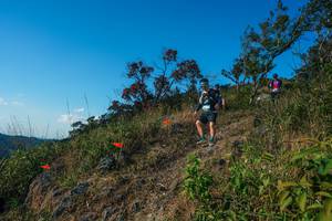 BIB: 
                            <button type="button" onclick="openModal(28098420)" class="btn btn-primary btn-sm float-right btn-popup" data-toggle="modal" data-target=".modal-high-quality">
                        <i class="fas fa-shopping-cart"></i> Add to Cart
                    </button>
                                            <button type="button" onclick="isThisMe(28098420, true)" class="btn btn-success btn-sm float-right btn-popup btn-isme hidden" data-toggle="tooltip" data-placement="bottom" title="นี่คือรูปของคุณใช่ไหม คลิกที่นี่เพื่อเอาเข้าอัลบั้ม">
                        <i class="fas fa-plus"></i> Add to album
                    </button>
                    <button type="button" onclick="isThisMe(28098420, false)" class="btn btn-warning btn-sm float-right btn-popup btn-isnotme hidden">
                        <i class="fas fa-ban"></i> Remove from album
                    </button>