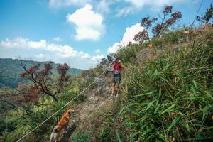 BIB: 
                            <button type="button" onclick="openModal(28095911)" class="btn btn-primary btn-sm float-right btn-popup" data-toggle="modal" data-target=".modal-high-quality">
                        <i class="fas fa-shopping-cart"></i> Add to Cart
                    </button>
                                            <button type="button" onclick="isThisMe(28095911, true)" class="btn btn-success btn-sm float-right btn-popup btn-isme hidden" data-toggle="tooltip" data-placement="bottom" title="นี่คือรูปของคุณใช่ไหม คลิกที่นี่เพื่อเอาเข้าอัลบั้ม">
                        <i class="fas fa-plus"></i> Add to album
                    </button>
                    <button type="button" onclick="isThisMe(28095911, false)" class="btn btn-warning btn-sm float-right btn-popup btn-isnotme hidden">
                        <i class="fas fa-ban"></i> Remove from album
                    </button>