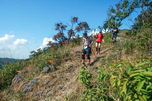 BIB: 
                            <button type="button" onclick="openModal(28097008)" class="btn btn-primary btn-sm float-right btn-popup" data-toggle="modal" data-target=".modal-high-quality">
                        <i class="fas fa-shopping-cart"></i> Add to Cart
                    </button>
                                            <button type="button" onclick="isThisMe(28097008, true)" class="btn btn-success btn-sm float-right btn-popup btn-isme hidden" data-toggle="tooltip" data-placement="bottom" title="นี่คือรูปของคุณใช่ไหม คลิกที่นี่เพื่อเอาเข้าอัลบั้ม">
                        <i class="fas fa-plus"></i> Add to album
                    </button>
                    <button type="button" onclick="isThisMe(28097008, false)" class="btn btn-warning btn-sm float-right btn-popup btn-isnotme hidden">
                        <i class="fas fa-ban"></i> Remove from album
                    </button>