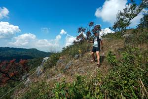 BIB: 
                            <button type="button" onclick="openModal(28096021)" class="btn btn-primary btn-sm float-right btn-popup" data-toggle="modal" data-target=".modal-high-quality">
                        <i class="fas fa-shopping-cart"></i> Add to Cart
                    </button>
                                            <button type="button" onclick="isThisMe(28096021, true)" class="btn btn-success btn-sm float-right btn-popup btn-isme hidden" data-toggle="tooltip" data-placement="bottom" title="นี่คือรูปของคุณใช่ไหม คลิกที่นี่เพื่อเอาเข้าอัลบั้ม">
                        <i class="fas fa-plus"></i> Add to album
                    </button>
                    <button type="button" onclick="isThisMe(28096021, false)" class="btn btn-warning btn-sm float-right btn-popup btn-isnotme hidden">
                        <i class="fas fa-ban"></i> Remove from album
                    </button>