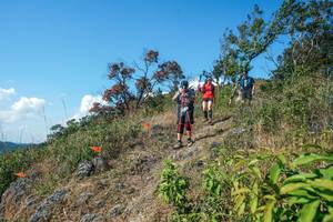 BIB: 
                            <button type="button" onclick="openModal(28097006)" class="btn btn-primary btn-sm float-right btn-popup" data-toggle="modal" data-target=".modal-high-quality">
                        <i class="fas fa-shopping-cart"></i> Add to Cart
                    </button>
                                            <button type="button" onclick="isThisMe(28097006, true)" class="btn btn-success btn-sm float-right btn-popup btn-isme hidden" data-toggle="tooltip" data-placement="bottom" title="นี่คือรูปของคุณใช่ไหม คลิกที่นี่เพื่อเอาเข้าอัลบั้ม">
                        <i class="fas fa-plus"></i> Add to album
                    </button>
                    <button type="button" onclick="isThisMe(28097006, false)" class="btn btn-warning btn-sm float-right btn-popup btn-isnotme hidden">
                        <i class="fas fa-ban"></i> Remove from album
                    </button>