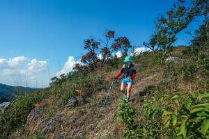 BIB: 
                            <button type="button" onclick="openModal(28097088)" class="btn btn-primary btn-sm float-right btn-popup" data-toggle="modal" data-target=".modal-high-quality">
                        <i class="fas fa-shopping-cart"></i> Add to Cart
                    </button>
                                            <button type="button" onclick="isThisMe(28097088, true)" class="btn btn-success btn-sm float-right btn-popup btn-isme hidden" data-toggle="tooltip" data-placement="bottom" title="นี่คือรูปของคุณใช่ไหม คลิกที่นี่เพื่อเอาเข้าอัลบั้ม">
                        <i class="fas fa-plus"></i> Add to album
                    </button>
                    <button type="button" onclick="isThisMe(28097088, false)" class="btn btn-warning btn-sm float-right btn-popup btn-isnotme hidden">
                        <i class="fas fa-ban"></i> Remove from album
                    </button>