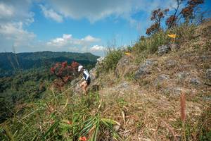 BIB: 
                            <button type="button" onclick="openModal(28095824)" class="btn btn-primary btn-sm float-right btn-popup" data-toggle="modal" data-target=".modal-high-quality">
                        <i class="fas fa-shopping-cart"></i> Add to Cart
                    </button>
                                            <button type="button" onclick="isThisMe(28095824, true)" class="btn btn-success btn-sm float-right btn-popup btn-isme hidden" data-toggle="tooltip" data-placement="bottom" title="นี่คือรูปของคุณใช่ไหม คลิกที่นี่เพื่อเอาเข้าอัลบั้ม">
                        <i class="fas fa-plus"></i> Add to album
                    </button>
                    <button type="button" onclick="isThisMe(28095824, false)" class="btn btn-warning btn-sm float-right btn-popup btn-isnotme hidden">
                        <i class="fas fa-ban"></i> Remove from album
                    </button>