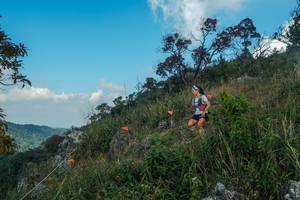 BIB: 
                            <button type="button" onclick="openModal(28095846)" class="btn btn-primary btn-sm float-right btn-popup" data-toggle="modal" data-target=".modal-high-quality">
                        <i class="fas fa-shopping-cart"></i> Add to Cart
                    </button>
                                            <button type="button" onclick="isThisMe(28095846, true)" class="btn btn-success btn-sm float-right btn-popup btn-isme hidden" data-toggle="tooltip" data-placement="bottom" title="นี่คือรูปของคุณใช่ไหม คลิกที่นี่เพื่อเอาเข้าอัลบั้ม">
                        <i class="fas fa-plus"></i> Add to album
                    </button>
                    <button type="button" onclick="isThisMe(28095846, false)" class="btn btn-warning btn-sm float-right btn-popup btn-isnotme hidden">
                        <i class="fas fa-ban"></i> Remove from album
                    </button>