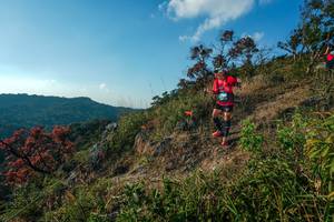 BIB: 
                            <button type="button" onclick="openModal(28099319)" class="btn btn-primary btn-sm float-right btn-popup" data-toggle="modal" data-target=".modal-high-quality">
                        <i class="fas fa-shopping-cart"></i> Add to Cart
                    </button>
                                            <button type="button" onclick="isThisMe(28099319, true)" class="btn btn-success btn-sm float-right btn-popup btn-isme hidden" data-toggle="tooltip" data-placement="bottom" title="นี่คือรูปของคุณใช่ไหม คลิกที่นี่เพื่อเอาเข้าอัลบั้ม">
                        <i class="fas fa-plus"></i> Add to album
                    </button>
                    <button type="button" onclick="isThisMe(28099319, false)" class="btn btn-warning btn-sm float-right btn-popup btn-isnotme hidden">
                        <i class="fas fa-ban"></i> Remove from album
                    </button>