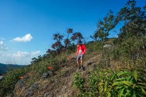 BIB: 
                            <button type="button" onclick="openModal(28097651)" class="btn btn-primary btn-sm float-right btn-popup" data-toggle="modal" data-target=".modal-high-quality">
                        <i class="fas fa-shopping-cart"></i> Add to Cart
                    </button>
                                            <button type="button" onclick="isThisMe(28097651, true)" class="btn btn-success btn-sm float-right btn-popup btn-isme hidden" data-toggle="tooltip" data-placement="bottom" title="นี่คือรูปของคุณใช่ไหม คลิกที่นี่เพื่อเอาเข้าอัลบั้ม">
                        <i class="fas fa-plus"></i> Add to album
                    </button>
                    <button type="button" onclick="isThisMe(28097651, false)" class="btn btn-warning btn-sm float-right btn-popup btn-isnotme hidden">
                        <i class="fas fa-ban"></i> Remove from album
                    </button>