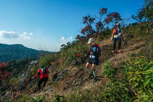 BIB: 
                            <button type="button" onclick="openModal(28098756)" class="btn btn-primary btn-sm float-right btn-popup" data-toggle="modal" data-target=".modal-high-quality">
                        <i class="fas fa-shopping-cart"></i> Add to Cart
                    </button>
                                            <button type="button" onclick="isThisMe(28098756, true)" class="btn btn-success btn-sm float-right btn-popup btn-isme hidden" data-toggle="tooltip" data-placement="bottom" title="นี่คือรูปของคุณใช่ไหม คลิกที่นี่เพื่อเอาเข้าอัลบั้ม">
                        <i class="fas fa-plus"></i> Add to album
                    </button>
                    <button type="button" onclick="isThisMe(28098756, false)" class="btn btn-warning btn-sm float-right btn-popup btn-isnotme hidden">
                        <i class="fas fa-ban"></i> Remove from album
                    </button>