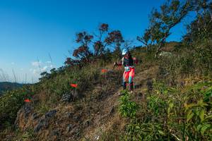 BIB: 
                            <button type="button" onclick="openModal(28098842)" class="btn btn-primary btn-sm float-right btn-popup" data-toggle="modal" data-target=".modal-high-quality">
                        <i class="fas fa-shopping-cart"></i> Add to Cart
                    </button>
                                            <button type="button" onclick="isThisMe(28098842, true)" class="btn btn-success btn-sm float-right btn-popup btn-isme hidden" data-toggle="tooltip" data-placement="bottom" title="นี่คือรูปของคุณใช่ไหม คลิกที่นี่เพื่อเอาเข้าอัลบั้ม">
                        <i class="fas fa-plus"></i> Add to album
                    </button>
                    <button type="button" onclick="isThisMe(28098842, false)" class="btn btn-warning btn-sm float-right btn-popup btn-isnotme hidden">
                        <i class="fas fa-ban"></i> Remove from album
                    </button>