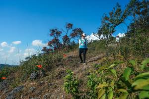 BIB: 
                            <button type="button" onclick="openModal(28097252)" class="btn btn-primary btn-sm float-right btn-popup" data-toggle="modal" data-target=".modal-high-quality">
                        <i class="fas fa-shopping-cart"></i> Add to Cart
                    </button>
                                            <button type="button" onclick="isThisMe(28097252, true)" class="btn btn-success btn-sm float-right btn-popup btn-isme hidden" data-toggle="tooltip" data-placement="bottom" title="นี่คือรูปของคุณใช่ไหม คลิกที่นี่เพื่อเอาเข้าอัลบั้ม">
                        <i class="fas fa-plus"></i> Add to album
                    </button>
                    <button type="button" onclick="isThisMe(28097252, false)" class="btn btn-warning btn-sm float-right btn-popup btn-isnotme hidden">
                        <i class="fas fa-ban"></i> Remove from album
                    </button>