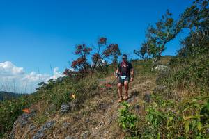 BIB: 
                            <button type="button" onclick="openModal(28096615)" class="btn btn-primary btn-sm float-right btn-popup" data-toggle="modal" data-target=".modal-high-quality">
                        <i class="fas fa-shopping-cart"></i> Add to Cart
                    </button>
                                            <button type="button" onclick="isThisMe(28096615, true)" class="btn btn-success btn-sm float-right btn-popup btn-isme hidden" data-toggle="tooltip" data-placement="bottom" title="นี่คือรูปของคุณใช่ไหม คลิกที่นี่เพื่อเอาเข้าอัลบั้ม">
                        <i class="fas fa-plus"></i> Add to album
                    </button>
                    <button type="button" onclick="isThisMe(28096615, false)" class="btn btn-warning btn-sm float-right btn-popup btn-isnotme hidden">
                        <i class="fas fa-ban"></i> Remove from album
                    </button>