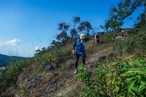 BIB: 
                            <button type="button" onclick="openModal(28098232)" class="btn btn-primary btn-sm float-right btn-popup" data-toggle="modal" data-target=".modal-high-quality">
                        <i class="fas fa-shopping-cart"></i> Add to Cart
                    </button>
                                            <button type="button" onclick="isThisMe(28098232, true)" class="btn btn-success btn-sm float-right btn-popup btn-isme hidden" data-toggle="tooltip" data-placement="bottom" title="นี่คือรูปของคุณใช่ไหม คลิกที่นี่เพื่อเอาเข้าอัลบั้ม">
                        <i class="fas fa-plus"></i> Add to album
                    </button>
                    <button type="button" onclick="isThisMe(28098232, false)" class="btn btn-warning btn-sm float-right btn-popup btn-isnotme hidden">
                        <i class="fas fa-ban"></i> Remove from album
                    </button>