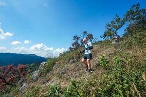 BIB: 
                            <button type="button" onclick="openModal(28096623)" class="btn btn-primary btn-sm float-right btn-popup" data-toggle="modal" data-target=".modal-high-quality">
                        <i class="fas fa-shopping-cart"></i> Add to Cart
                    </button>
                                            <button type="button" onclick="isThisMe(28096623, true)" class="btn btn-success btn-sm float-right btn-popup btn-isme hidden" data-toggle="tooltip" data-placement="bottom" title="นี่คือรูปของคุณใช่ไหม คลิกที่นี่เพื่อเอาเข้าอัลบั้ม">
                        <i class="fas fa-plus"></i> Add to album
                    </button>
                    <button type="button" onclick="isThisMe(28096623, false)" class="btn btn-warning btn-sm float-right btn-popup btn-isnotme hidden">
                        <i class="fas fa-ban"></i> Remove from album
                    </button>