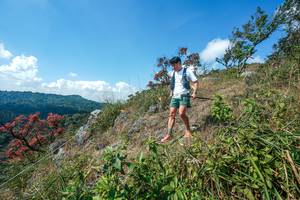 BIB: 
                            <button type="button" onclick="openModal(28096369)" class="btn btn-primary btn-sm float-right btn-popup" data-toggle="modal" data-target=".modal-high-quality">
                        <i class="fas fa-shopping-cart"></i> Add to Cart
                    </button>
                                            <button type="button" onclick="isThisMe(28096369, true)" class="btn btn-success btn-sm float-right btn-popup btn-isme hidden" data-toggle="tooltip" data-placement="bottom" title="นี่คือรูปของคุณใช่ไหม คลิกที่นี่เพื่อเอาเข้าอัลบั้ม">
                        <i class="fas fa-plus"></i> Add to album
                    </button>
                    <button type="button" onclick="isThisMe(28096369, false)" class="btn btn-warning btn-sm float-right btn-popup btn-isnotme hidden">
                        <i class="fas fa-ban"></i> Remove from album
                    </button>