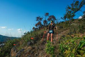 BIB: 
                            <button type="button" onclick="openModal(28099016)" class="btn btn-primary btn-sm float-right btn-popup" data-toggle="modal" data-target=".modal-high-quality">
                        <i class="fas fa-shopping-cart"></i> Add to Cart
                    </button>
                                            <button type="button" onclick="isThisMe(28099016, true)" class="btn btn-success btn-sm float-right btn-popup btn-isme hidden" data-toggle="tooltip" data-placement="bottom" title="นี่คือรูปของคุณใช่ไหม คลิกที่นี่เพื่อเอาเข้าอัลบั้ม">
                        <i class="fas fa-plus"></i> Add to album
                    </button>
                    <button type="button" onclick="isThisMe(28099016, false)" class="btn btn-warning btn-sm float-right btn-popup btn-isnotme hidden">
                        <i class="fas fa-ban"></i> Remove from album
                    </button>