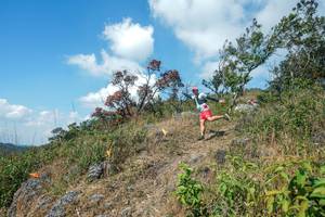 BIB: 
                            <button type="button" onclick="openModal(28096421)" class="btn btn-primary btn-sm float-right btn-popup" data-toggle="modal" data-target=".modal-high-quality">
                        <i class="fas fa-shopping-cart"></i> Add to Cart
                    </button>
                                            <button type="button" onclick="isThisMe(28096421, true)" class="btn btn-success btn-sm float-right btn-popup btn-isme hidden" data-toggle="tooltip" data-placement="bottom" title="นี่คือรูปของคุณใช่ไหม คลิกที่นี่เพื่อเอาเข้าอัลบั้ม">
                        <i class="fas fa-plus"></i> Add to album
                    </button>
                    <button type="button" onclick="isThisMe(28096421, false)" class="btn btn-warning btn-sm float-right btn-popup btn-isnotme hidden">
                        <i class="fas fa-ban"></i> Remove from album
                    </button>