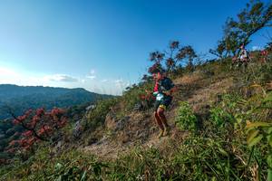 BIB: 
                            <button type="button" onclick="openModal(28098936)" class="btn btn-primary btn-sm float-right btn-popup" data-toggle="modal" data-target=".modal-high-quality">
                        <i class="fas fa-shopping-cart"></i> Add to Cart
                    </button>
                                            <button type="button" onclick="isThisMe(28098936, true)" class="btn btn-success btn-sm float-right btn-popup btn-isme hidden" data-toggle="tooltip" data-placement="bottom" title="นี่คือรูปของคุณใช่ไหม คลิกที่นี่เพื่อเอาเข้าอัลบั้ม">
                        <i class="fas fa-plus"></i> Add to album
                    </button>
                    <button type="button" onclick="isThisMe(28098936, false)" class="btn btn-warning btn-sm float-right btn-popup btn-isnotme hidden">
                        <i class="fas fa-ban"></i> Remove from album
                    </button>