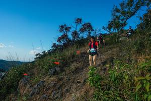 BIB: 
                            <button type="button" onclick="openModal(28098402)" class="btn btn-primary btn-sm float-right btn-popup" data-toggle="modal" data-target=".modal-high-quality">
                        <i class="fas fa-shopping-cart"></i> Add to Cart
                    </button>
                                            <button type="button" onclick="isThisMe(28098402, true)" class="btn btn-success btn-sm float-right btn-popup btn-isme hidden" data-toggle="tooltip" data-placement="bottom" title="นี่คือรูปของคุณใช่ไหม คลิกที่นี่เพื่อเอาเข้าอัลบั้ม">
                        <i class="fas fa-plus"></i> Add to album
                    </button>
                    <button type="button" onclick="isThisMe(28098402, false)" class="btn btn-warning btn-sm float-right btn-popup btn-isnotme hidden">
                        <i class="fas fa-ban"></i> Remove from album
                    </button>