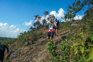 BIB: 
                            <button type="button" onclick="openModal(28097420)" class="btn btn-primary btn-sm float-right btn-popup" data-toggle="modal" data-target=".modal-high-quality">
                        <i class="fas fa-shopping-cart"></i> Add to Cart
                    </button>
                                            <button type="button" onclick="isThisMe(28097420, true)" class="btn btn-success btn-sm float-right btn-popup btn-isme hidden" data-toggle="tooltip" data-placement="bottom" title="นี่คือรูปของคุณใช่ไหม คลิกที่นี่เพื่อเอาเข้าอัลบั้ม">
                        <i class="fas fa-plus"></i> Add to album
                    </button>
                    <button type="button" onclick="isThisMe(28097420, false)" class="btn btn-warning btn-sm float-right btn-popup btn-isnotme hidden">
                        <i class="fas fa-ban"></i> Remove from album
                    </button>