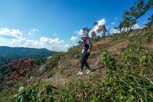 BIB: 
                            <button type="button" onclick="openModal(28097467)" class="btn btn-primary btn-sm float-right btn-popup" data-toggle="modal" data-target=".modal-high-quality">
                        <i class="fas fa-shopping-cart"></i> Add to Cart
                    </button>
                                            <button type="button" onclick="isThisMe(28097467, true)" class="btn btn-success btn-sm float-right btn-popup btn-isme hidden" data-toggle="tooltip" data-placement="bottom" title="นี่คือรูปของคุณใช่ไหม คลิกที่นี่เพื่อเอาเข้าอัลบั้ม">
                        <i class="fas fa-plus"></i> Add to album
                    </button>
                    <button type="button" onclick="isThisMe(28097467, false)" class="btn btn-warning btn-sm float-right btn-popup btn-isnotme hidden">
                        <i class="fas fa-ban"></i> Remove from album
                    </button>