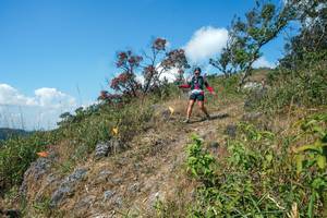 BIB: 
                            <button type="button" onclick="openModal(28096364)" class="btn btn-primary btn-sm float-right btn-popup" data-toggle="modal" data-target=".modal-high-quality">
                        <i class="fas fa-shopping-cart"></i> Add to Cart
                    </button>
                                            <button type="button" onclick="isThisMe(28096364, true)" class="btn btn-success btn-sm float-right btn-popup btn-isme hidden" data-toggle="tooltip" data-placement="bottom" title="นี่คือรูปของคุณใช่ไหม คลิกที่นี่เพื่อเอาเข้าอัลบั้ม">
                        <i class="fas fa-plus"></i> Add to album
                    </button>
                    <button type="button" onclick="isThisMe(28096364, false)" class="btn btn-warning btn-sm float-right btn-popup btn-isnotme hidden">
                        <i class="fas fa-ban"></i> Remove from album
                    </button>