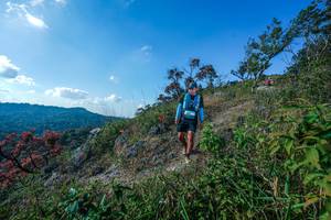 BIB: 
                            <button type="button" onclick="openModal(28098184)" class="btn btn-primary btn-sm float-right btn-popup" data-toggle="modal" data-target=".modal-high-quality">
                        <i class="fas fa-shopping-cart"></i> Add to Cart
                    </button>
                                            <button type="button" onclick="isThisMe(28098184, true)" class="btn btn-success btn-sm float-right btn-popup btn-isme hidden" data-toggle="tooltip" data-placement="bottom" title="นี่คือรูปของคุณใช่ไหม คลิกที่นี่เพื่อเอาเข้าอัลบั้ม">
                        <i class="fas fa-plus"></i> Add to album
                    </button>
                    <button type="button" onclick="isThisMe(28098184, false)" class="btn btn-warning btn-sm float-right btn-popup btn-isnotme hidden">
                        <i class="fas fa-ban"></i> Remove from album
                    </button>